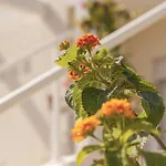 Bed & Breakfast Conero Hermitage