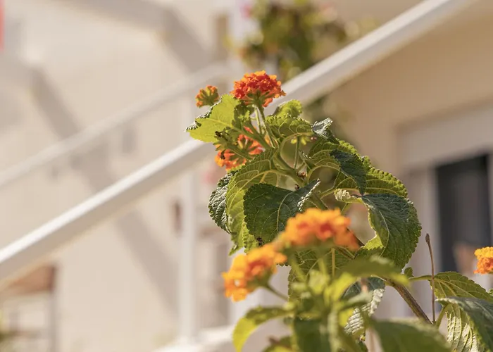 Bed & Breakfast Conero Hermitage